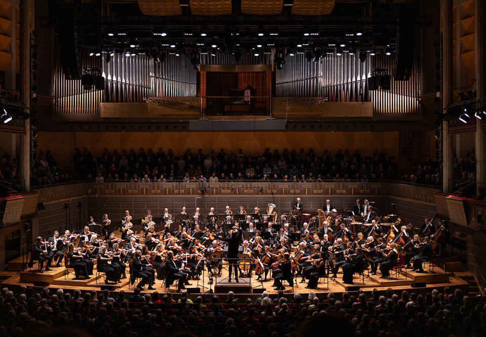 Musiker som spelar. Fotografi