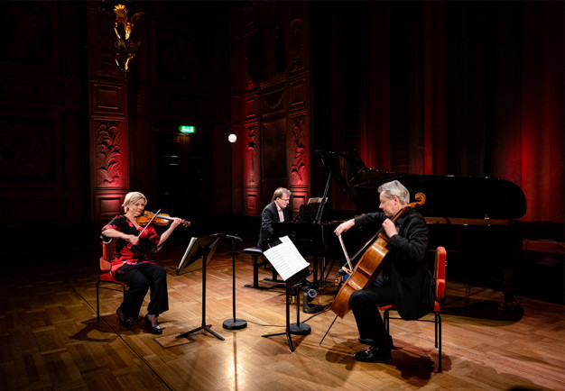 Three musicians playing. From the concert.