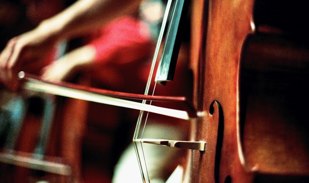 Close up Double Bass. Photo.
