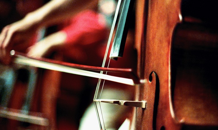Close up Double Bass. Photo.