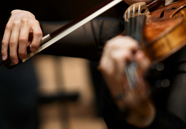 Close up on a viola