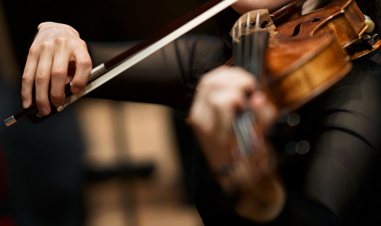 Close up on a viola